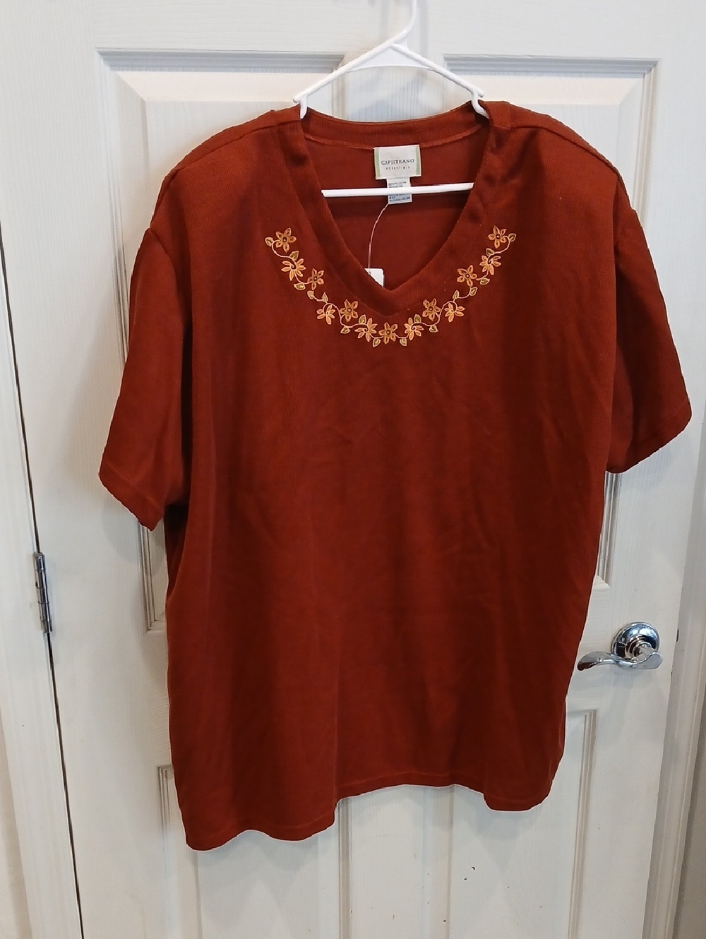 Capistrano Women’s Rust Embroidered V-Neck Top